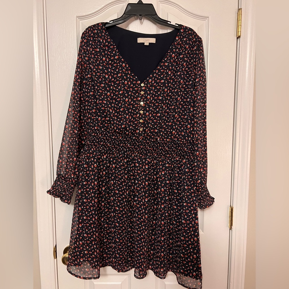 LOFT EUC Ladybug dress - size Large